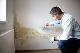 Best Mold Prevention Services  in Cramerton, NC